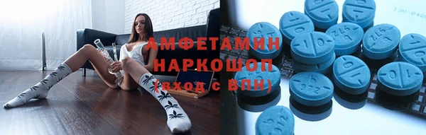 индика Алагир