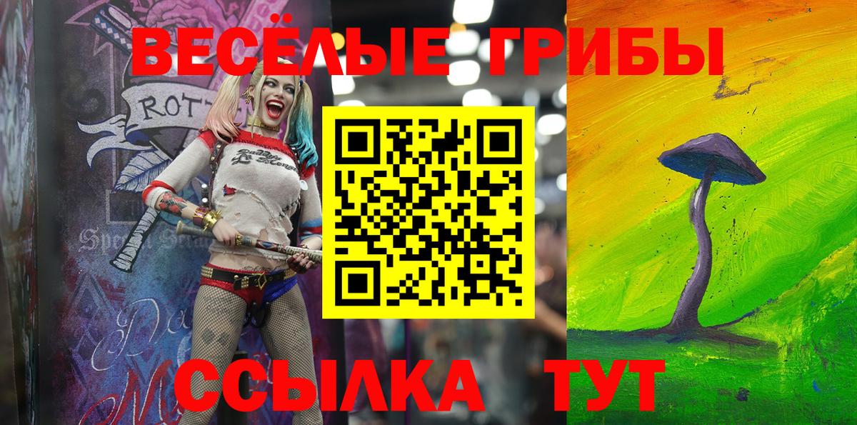 Галлюциногенные грибы Psilocybe Сургут